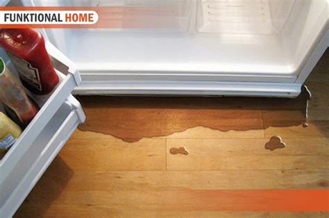 Frigidaire Refrigerator Leaking Water From Ice。